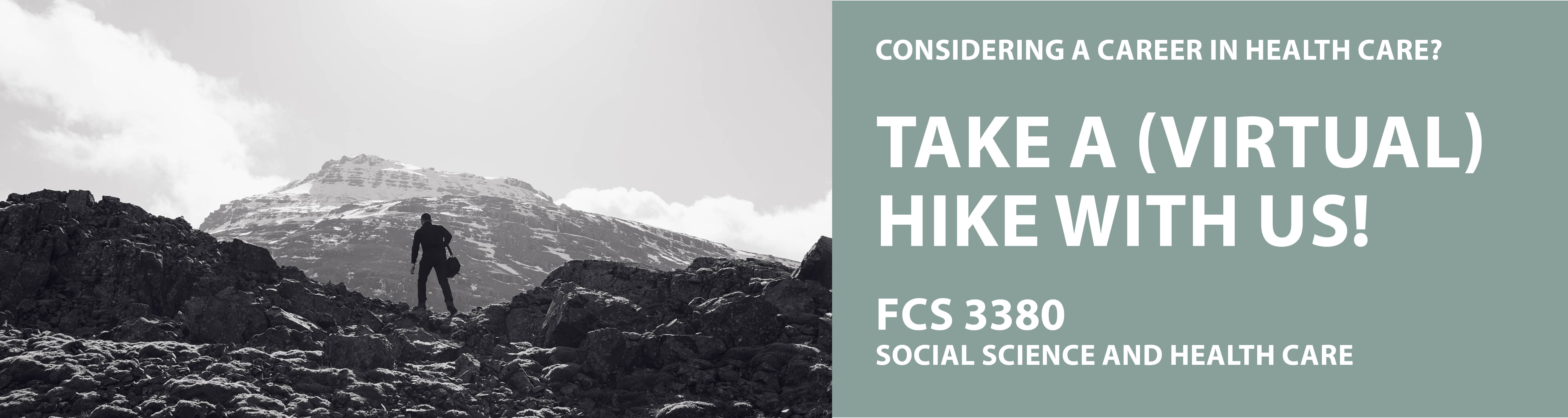 fcs 3380 social science and health care