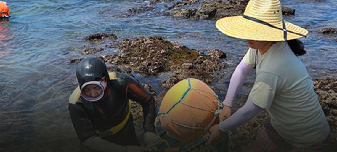 Group of All women Divers pulling  to harvest food